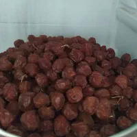 آلوچه خورشتی تازه