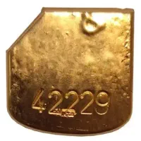 اجاره طلا(فقط کارگاه طلا سازی یاویترین دار)