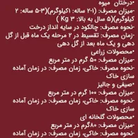 کود،گل و گیاه|گل و گیاه طبیعی|رشت, توشیبا|دیوار