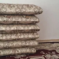 6عدد پشتی