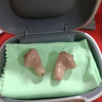 سمعک مخفی در حد نو