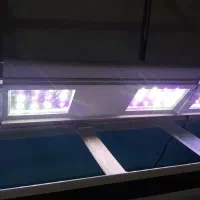 اکواریوم ۱۲۰ ماهیران|ماهی|کرج, باغستان|دیوار