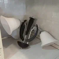 لوسترسه شاخه