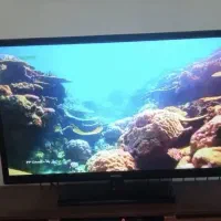 فروش تلویزیون ۴۳ سامسونگ|تلویزیون و پروژکتور|رشت, دباغیان|دیوار