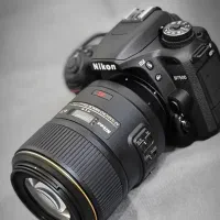 دوربین نیکون D7500 با لنز ماکرو ۱۰۵mm|دوربین عکاسی و فیلم‌برداری|شیراز, زرهی|دیوار