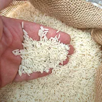 برنج کاملا خالص. ریتون ( دوبار نوج) با ضمانت|خوردنی و آشامیدنی|بابلسر, |دیوار