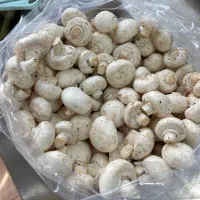 به یک فروشنده حرفه ای نیازمندیم