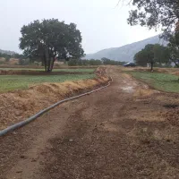 اجاره دوهکتار زمین کشاورزی آبی|اجارهٔ دفتر صنعتی، کشاورزی، تجاری|پاتاوه, |دیوار