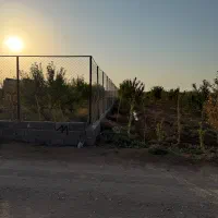 باغ بادام|فروش زمین و ملک کلنگی|زرندیه, |دیوار