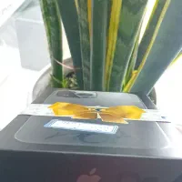 موبایل آیفون 13pro max|موبایل|اصفهان, زوان|دیوار