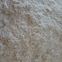 گاه گندم کمباین دیم