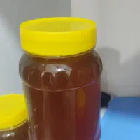 فروش عسل ارگانیک به قیمت عمده