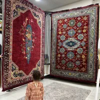 فرش ۶متر کدdr22|فرش|قشم, |دیوار