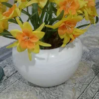 گل گل فروش فوری|گل مصنوعی|گرگان, |دیوار