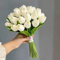 انواع گل عروس|گل مصنوعی|آبادان, |دیوار