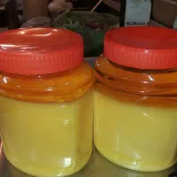 روغن زرد فروشی