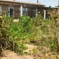 خانه ویلایی|فروش خانه و ویلا|دشتابی, |دیوار