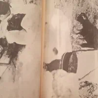 کتاب|کتاب و مجله ادبی|اصفهان, چشمه باقرخان|دیوار