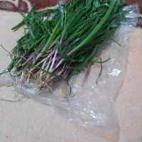سور‌پا‌کوه‌های‌کرین