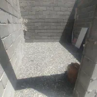 وایقان عیوضی ۴۵۰متر آب دارد|فروش زمین و ملک کلنگی|شبستر, |دیوار