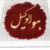 وکیل متخصص پرونده های ملکی،پیچیده،لاینحل