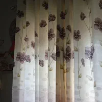 پرده حراج|حراج|رشت, دیانتی|دیوار