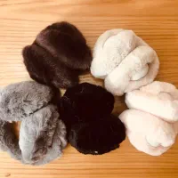 گوشگیر دخترونه|لباس|ساری, |دیوار