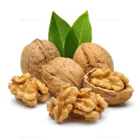گردو درج یک کوهستان