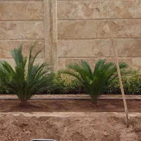 باغبانی -هرس و کار با اره برقی|خدمات باغبانی و درختکاری|کرمان, |دیوار