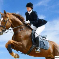 آموزش سوارکاری