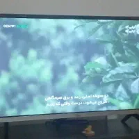 ال ای دی ۳۲ اینج