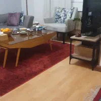 انجام داوطلبانه امور منزل خانواده یا سالمند