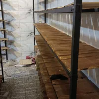 قفسه ومیزکفش|کتابخانه، شلف، قفسه‌های دیواری|بناب, |دیوار