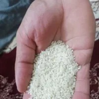برنج درجه یک سالم و نیم دانه
