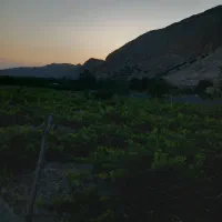 خرید ضایعات