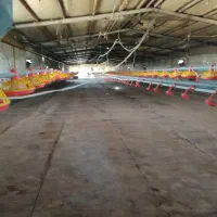 مرغداری گوشتی 24000 تایی|فروش دفتر صنعتی، کشاورزی، تجاری|تهران, سعیدآباد|دیوار