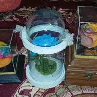 گل مصنوعی جاویدان