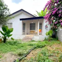 500 متر باغ ویلا با سند ششدانگ*انارور