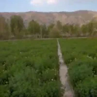 زمین آماده ساخت ساز