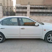 ماکسیما درجه یک 100تا کار