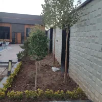 انواع خدمات باغبانی و فضای سبز|خدمات باغبانی و درختکاری|رامجین, |دیوار