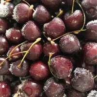 گیلاس منجمد درشت تازه امسالی (تخفیف یلدایی)