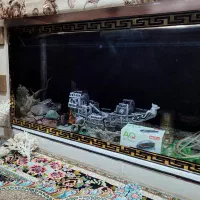 آکواریوم