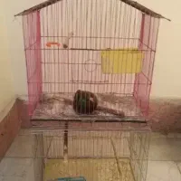 قفس پرنده