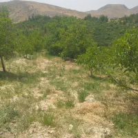 فروش باغ گردو 10کیلومتری سپیدان|فروش زمین و ملک کلنگی|کنار تخته و کمار, |دیوار