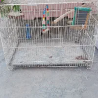 چند عدد قفس پرنده فروشی|لوازم جانبی حیوانات|ساری, |دیوار