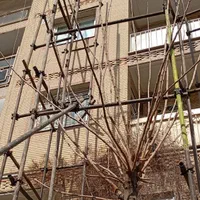 داربست تهران،تهرانسر،کرج،شهریار|خدمات پیشه و مهارت|اندیشه, اندیشه فاز ۴|دیوار