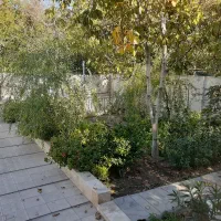 علف زنی بادستگاه شاندیز
