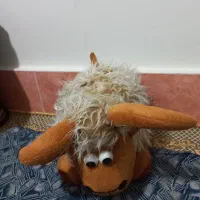 عروسک|اسباب‌بازی بچه|قم, باغ شریفی|دیوار