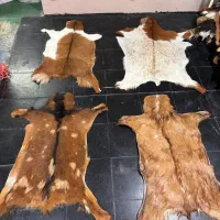 پوست بز گوسفند گاو